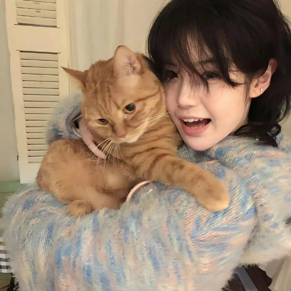 极限高飞电影