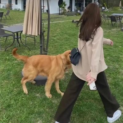 出走的决心